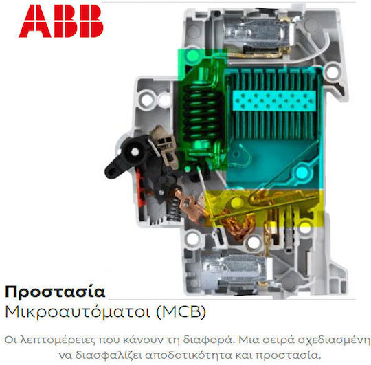 Abb Automatic Circuit Breaker 25A Double-pole AC 24835