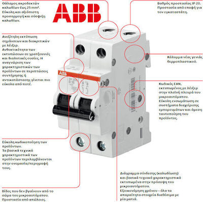 Abb 2-Poles Automatic Circuit Breaker 16A 3ΚΑ C 16Α 70359