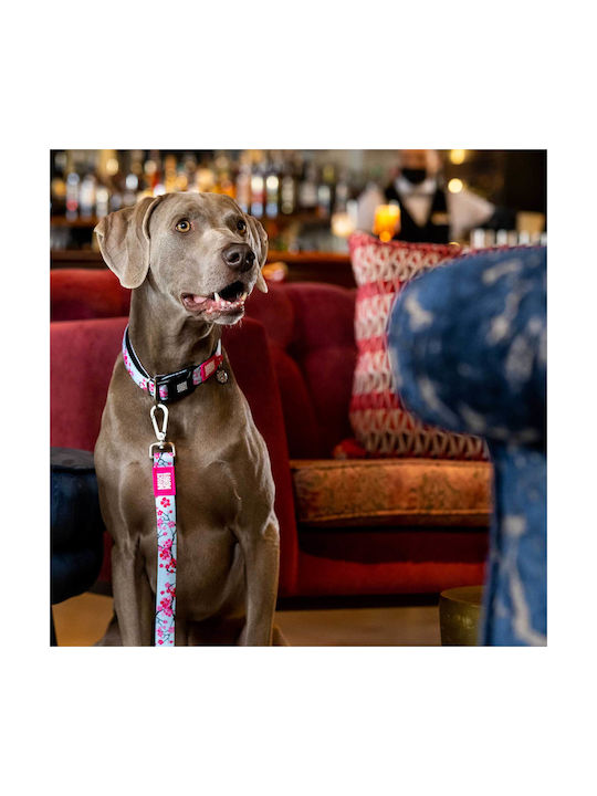 Max & Molly Cherry Bloom Κολάρο σε Ροζ χρώμα Large 25mm x 39 - 62cm Max & Molly Cherry Bloom Κολάρο σε Ροζ χρώμα Large 25mm x 39 - 62cm