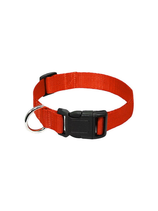 Pet Camelot Hundehalsband in Rot Farbe Verstellbar 10mm x 25 - 35cm 4530RED