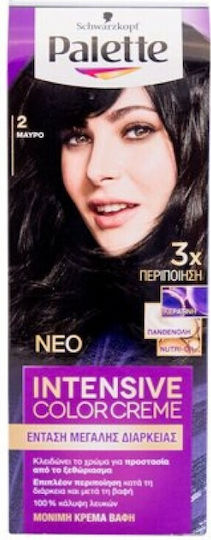 Palette Intensive Color Creme Βαφή Μαλλιών 2 Μαύρο 50ml