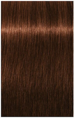 Schwarzkopf Igora Royal Hair Dye 5-7 Chestnut Light Bronze 60ml