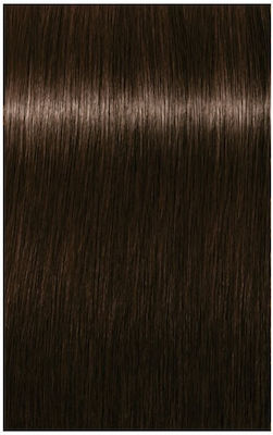 Schwarzkopf Igora Royal Hair Dye 3-65 Chestnut Dark Mocha 60ml