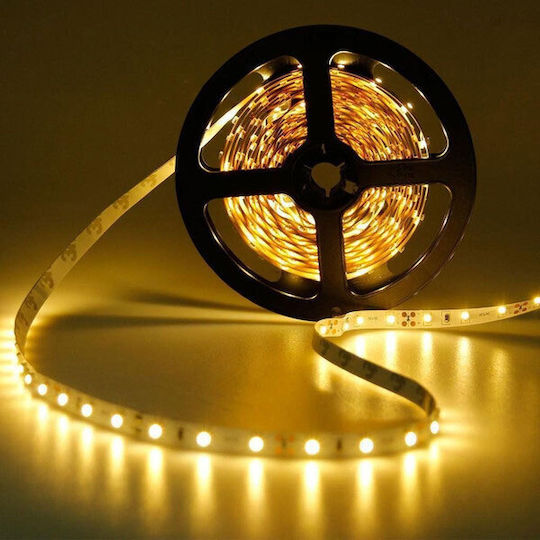 Eurolamp Ταινία LED 12V Θερμό Λευκό Φως 5m Τύπου SMD3528