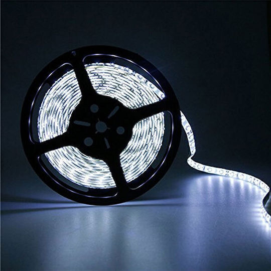 Eurolamp Ταινία LED 24V Φυσικό Λευκό Φως 5m Τύπου SMD2835