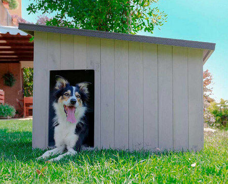 Ferplast Argo 50 Dog House Wooden Outdoor Beige 58.5x42.5x44.5cm