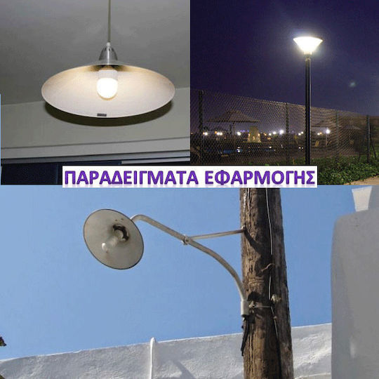 Diolamp LED Bulb 15W 145mm for Socket E27 and Shape P80 Cool White 1590lm