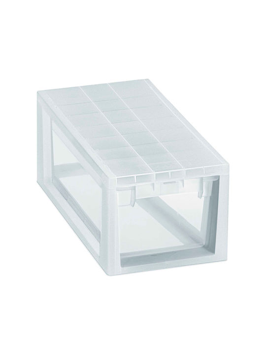 Terry Plastic Storage box with Cap Transparent 19.6x39x16cm 1pcs