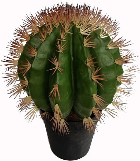 Κάκτος σε Γλάστρα 52cm Supergreens