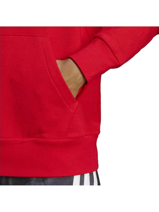 Essentials French Terry Big Logo Sweatshirt mit Kapuze Rot