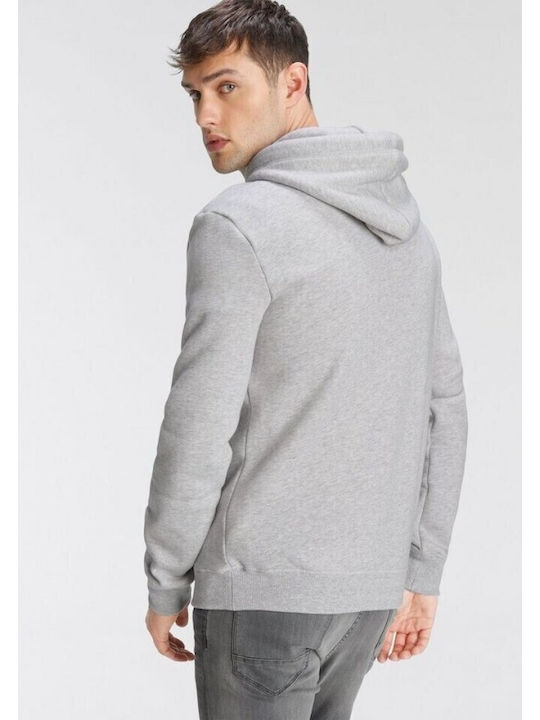 Superdry Sweatshirt with Hood Gray