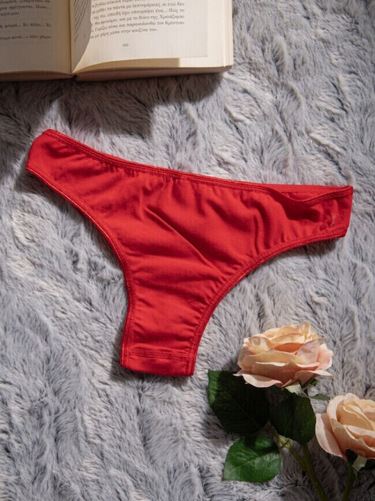 Fay Lingerie