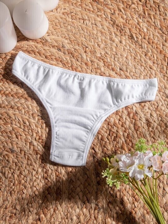 Fay Lingerie