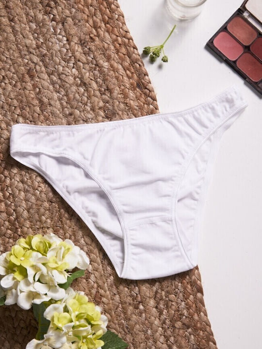 Fay Lingerie