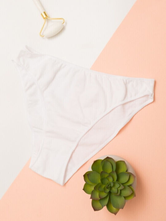 Fay Lingerie