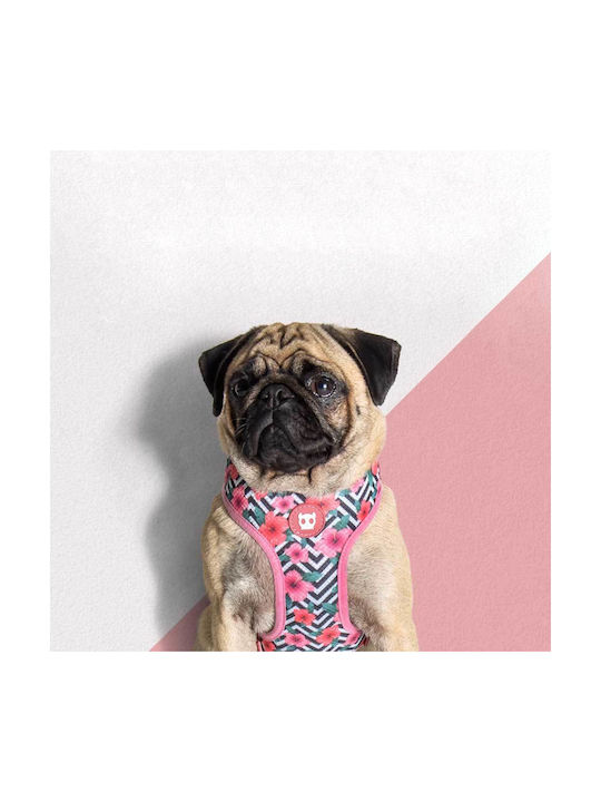 Zee-Dog Air Mesh