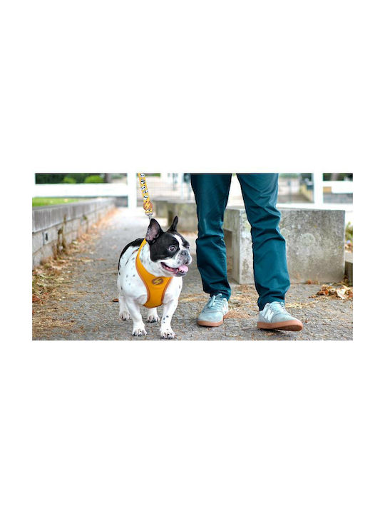 Dashi Dog Harness Vest Snooze Neo Mesh Small 2.8mm x 38-50cm DNM00032