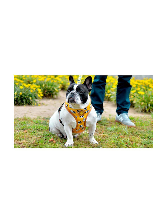 Dashi Dog Harness Vest Snooze Neo Mesh Orange XX-Large 91-130cm DNM00168