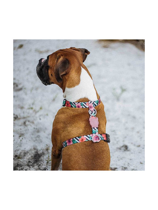 Zee-Dog Dog Harness H-Harness Mahalo Medium 24096