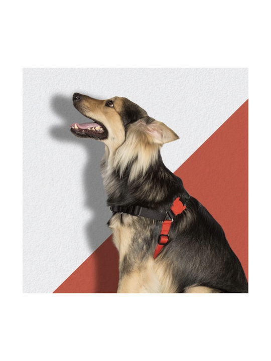 Zee-Dog Dog Harness Training Soft Walk Fat Boy Red Large 702283