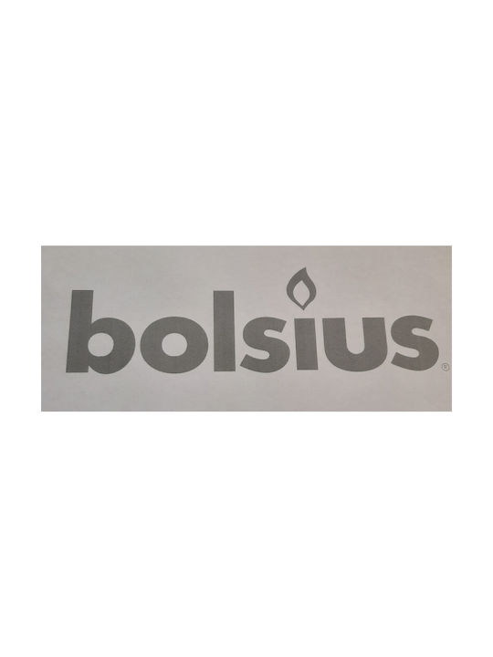 Bolsius Αρωματιστής για Αιθέρια Έλαια Οβάλ