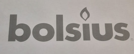 Bolsius Essential Oil Diffuser Oval