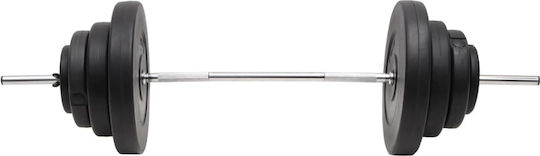 vidaXL Φ25mm Set with Weights 60kg Length 140cm with Collars