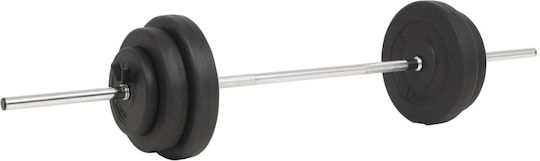 vidaXL Φ25mm Set with Weights 60kg Length 140cm with Collars