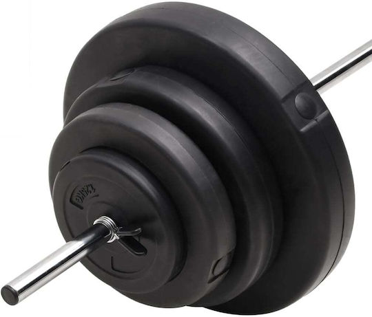 vidaXL Φ25mm Set with Weights 60kg Length 140cm with Collars