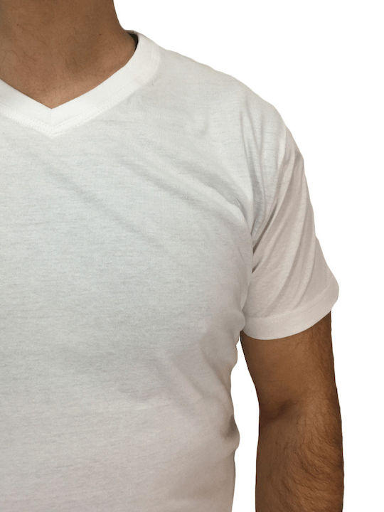 Samoyedo T-shirt White