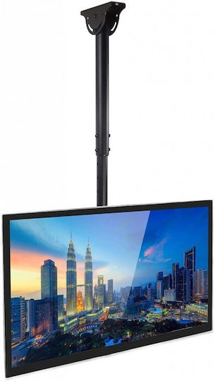 Techly ICA-CPLB 946L Βάση Τηλεόρασης Οροφής έως 70" και 50kg