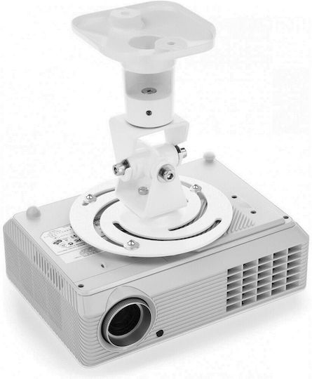 Techly Projektorhalterung Decke ICA-PM-100 mit maximaler Belastung von 10kg Weiß