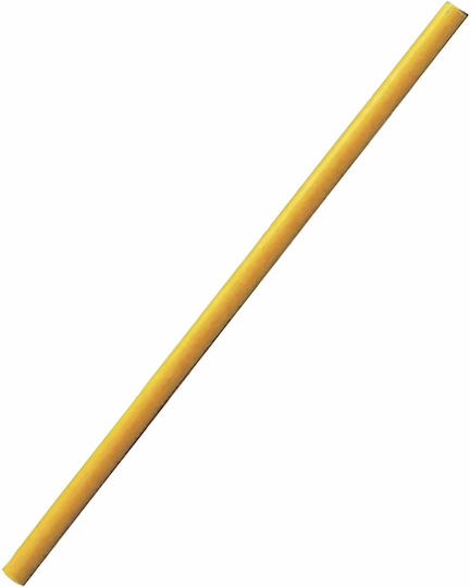 AMILA Slalom Pole In Orange Colour