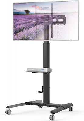 Techly ICA-TR228 ICA-TR228 TV Mount Floor up to 70" and 40kg