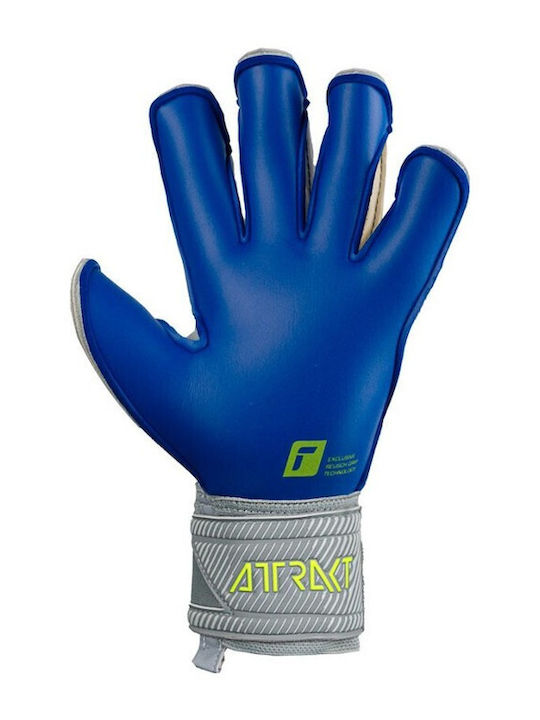 Reusch Attrakt Gold X Evo Adults Goalkeeper Gloves Gray