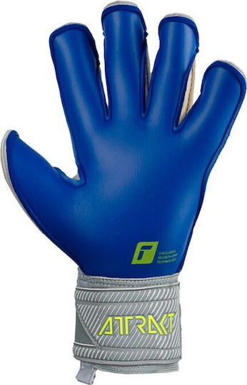 Reusch Attrakt Gold X Evo Голмански ръкавици за Възрастни Сив