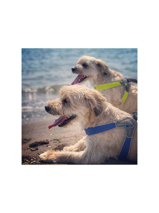 Pet Camelot Dog Strap Harness Coralpina Cinquetorri 4 Blue 35-45cm A13-C100BE040
