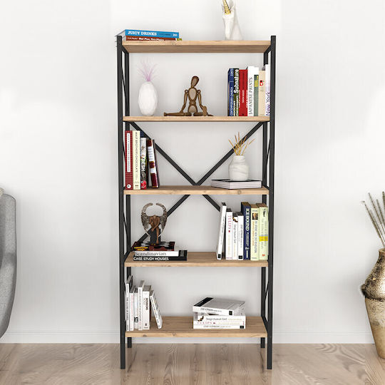 Bibliothek Colmar Kiefer / Eiche 66x34x160cm