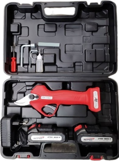 Geotec Ψαλίδι Κλαδέματος Brushless με 2 Μπαταρίες σε Βαλιτσάκι Μεταφοράς