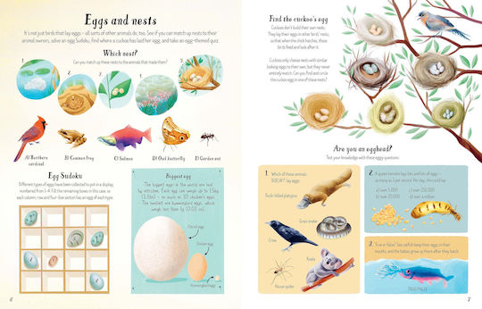 Nature Activity Book