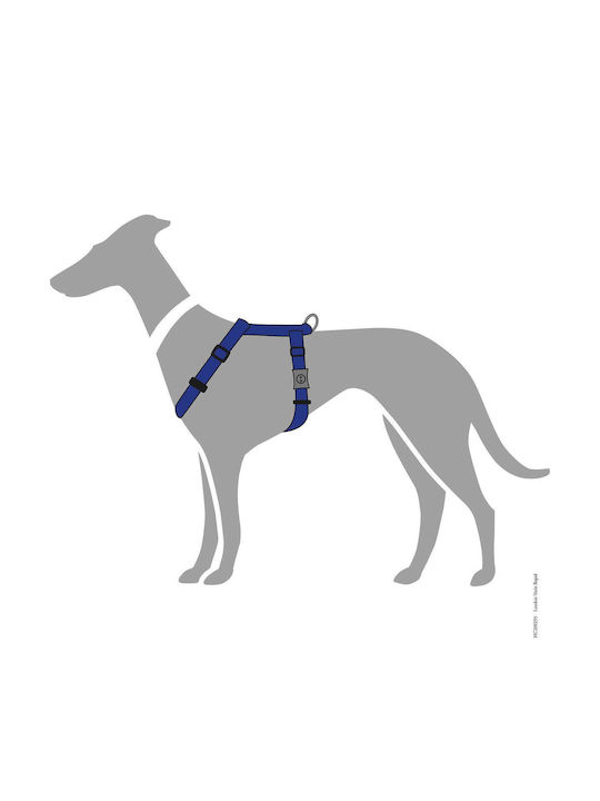 Hunter Σαμαράκι Σκύλου London Vario Rapid Μπλε XX-Small 25-42cm 013486