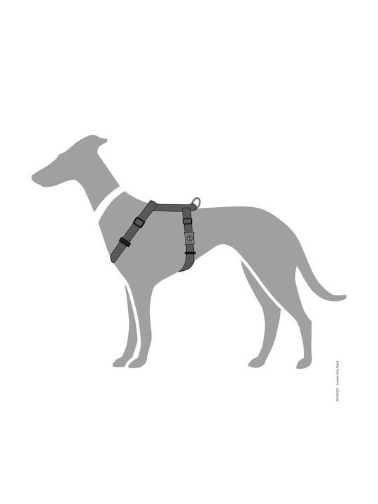 Hunter Hundegeschirr London Vario Rapid Gray XX-klein 25-42cm 013491