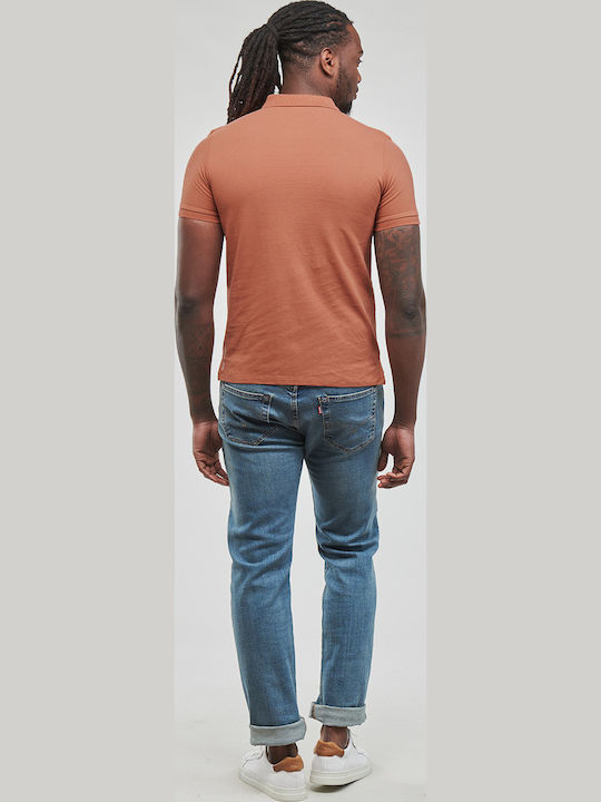 King Polo T-Shirt Brown