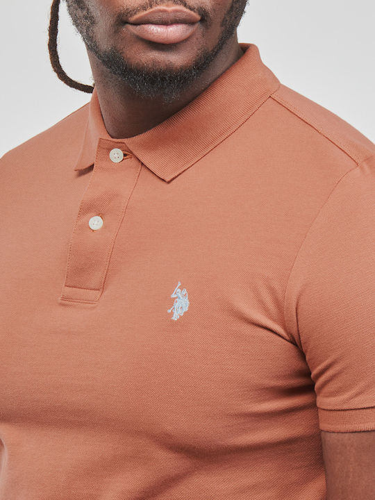 King Polo T-Shirt Brown