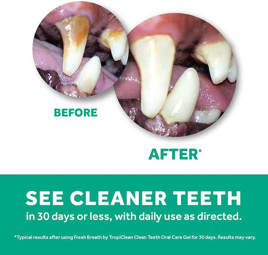 Tropiclean Fresh Breath Oral Care Kit Σετ Στοματικής Υγιεινής για Σκύλους κατά της Πέτρας & Πλάκας 59ml Small/Medium