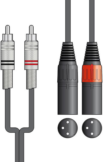 Citronic 2R-2XM075 Cable 2x XLR male - 2x RCA male Μαύρο 0.75m (190.057UK)