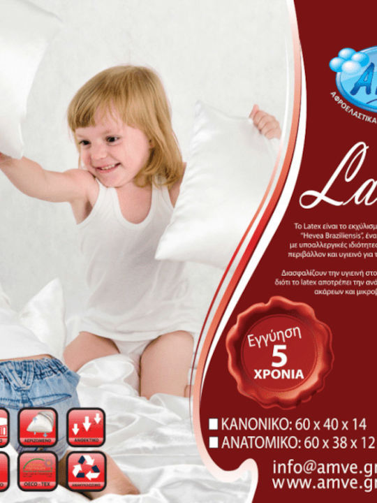 Amve 11640 Classic Μαξιλάρι Ύπνου Latex Ανατομικό 38x60x12cm