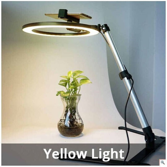 Photo Lamp Led USB Ringlicht 26cm 3200 - 6500K mit Desktop Ständer/Halterung Halterung und Halterung für Handy