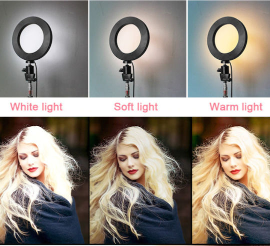 USB LED Ringlicht 16cm 2500 - 4500K mit Schreibtisch Stativ und Handyhalter