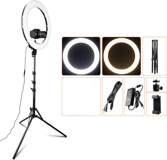RL-18 Ring Light 46cm με Τρίποδο Δαπέδου και Βάση για Κινητό